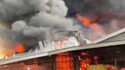 PT. Agro Raya Mas Di Rauk Sijago Merah