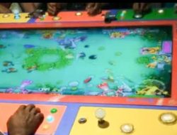 Pak Kapolsek, Tolong Tindak Tegas Praktik Perjudian Diduga Milik Cici Di Kelurahan Mabar