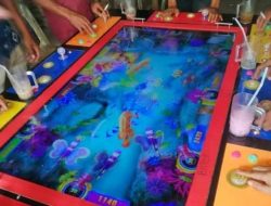 Merasa Kebal Hukum, Praktik perjudian diduga Milik Cici Terus Merajalela